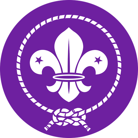 Picture of Fareham West Explorer Scouts activities